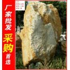 大型刻字石黄腊石，河源造型独特黄蜡石，景观石大量批发