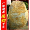大型招牌石黄蜡石，苏州人工湖驳岸黄腊石，假山石厂家直销