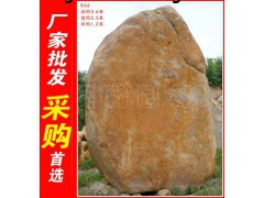 广东梅州大型黄蜡石b56