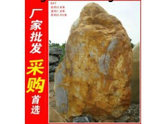 广东惠东大型黄蜡石b97