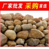 广东汕尾黄蜡石，厂家出售形态各异黄蜡石