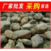 常州溧阳椭圆型青石，厂家销售椭圆型青石园林石