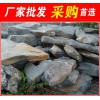 南京太湖石，太湖石工程