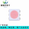 特价供应LED5050调粉红光贴片正品芯片品质保证