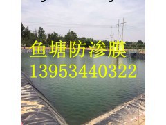 河北邢台0.5mm鱼塘防渗膜厂家