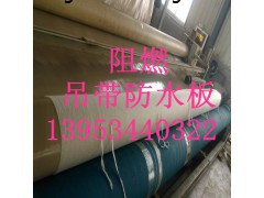 浙江丽水隧道1.0mm阻燃防水板厂家