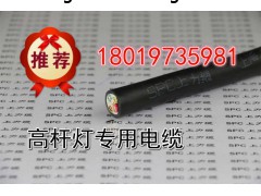 高桿燈光電復合電纜國內(nèi)首家