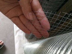 外墙抹灰电焊网 工地金属网 镀锌钢丝网厂家