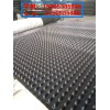 铜陵车库透水板（12高）排水板专业生产厂家