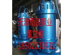 天津雨辰泵业生产大流量 高扬程不锈钢潜水排污泵厂家