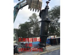 天津雨辰泵业 经营高扬程不锈钢轴流泵