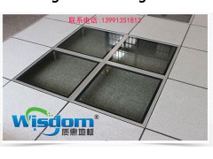 西安防静电玻璃地板 全钢玻璃透明可视化地板