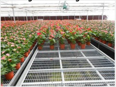 温室花卉苗床定做 常用标准规格尺寸