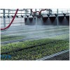 温室育苗喷灌机 小型电动好管理