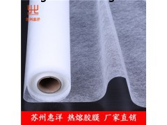 惠洋供应地毯用热熔胶膜