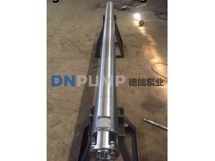 QJ潜水井泵(天津厂家）DN