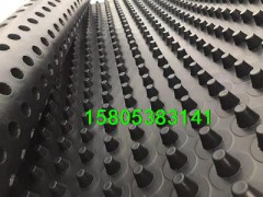 阻根排水板南京20mm车库排水板*当地生产厂家