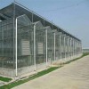 养殖玻璃温室 保温温室的建造 保温大棚造价 辉腾温室