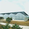 阳光板生态温室 连栋温室建造 蔬菜大棚造价 辉腾温室