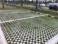 南京超级植草地坪 现浇植草地坪模具