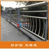 廣州河道護欄 廣州河道景觀護欄 不銹鋼碳鋼復合管護欄