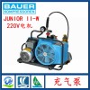进口新JUNIOR II-W德国宝华空气压缩机 充气泵