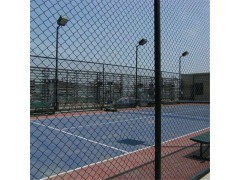 浸塑体育场围网 篮球场防护网  框架球场围网厂