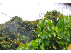 家家管 农业树木自动灌溉喷淋系统不锈钢管道微喷农业杀虫洒水