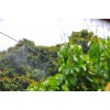 家家管 農業樹木自動灌溉噴淋系統不銹鋼管道微噴農業殺蟲灑水
