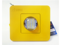 220v黃色方形50w冷庫專用燈冷庫led燈