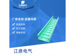 广东厂家直销全国发货玻璃钢 梯式桥架300*100